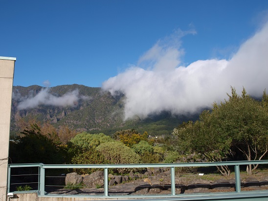 lapalma_flug